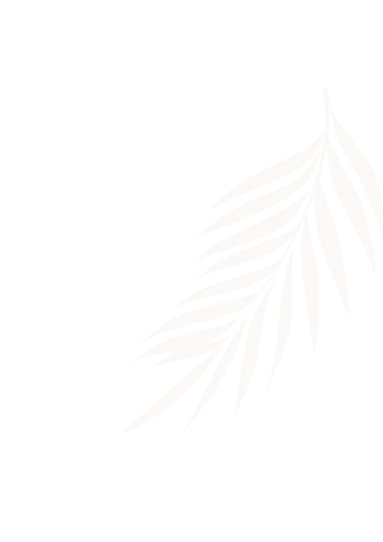 围绕麻将胡了登录入口，麻将胡了持续打磨更优质的服务。 - 麻将胡了